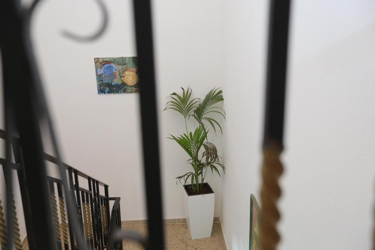 Apartment Celaj Velipojë 外观 照片